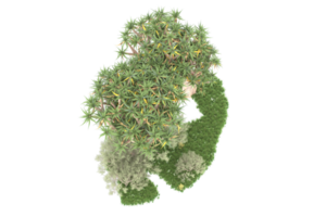 Realistic forest isolated on transparent background. 3d rendering - illustration png