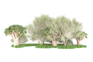 Realistic forest isolated on transparent background. 3d rendering - illustration png