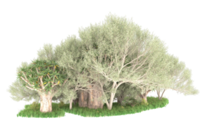 Realistic forest isolated on transparent background. 3d rendering - illustration png