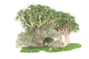 forêt réaliste isolée sur fond transparent. rendu 3d - illustration png