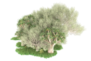 Realistic forest isolated on transparent background. 3d rendering - illustration png