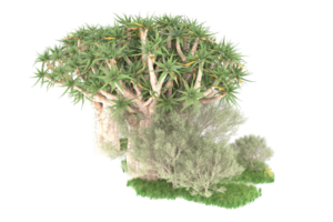 forêt réaliste isolée sur fond transparent. rendu 3d - illustration png