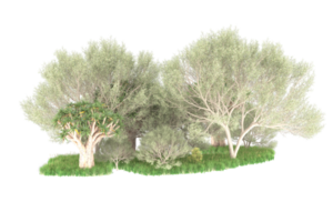 Realistic forest isolated on transparent background. 3d rendering - illustration png