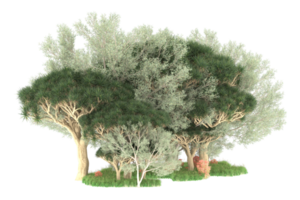 Realistic forest isolated on transparent background. 3d rendering - illustration png