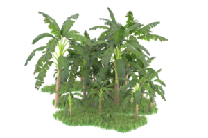 Realistic forest isolated on transparent background. 3d rendering - illustration png