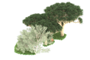 Realistic forest isolated on transparent background. 3d rendering - illustration png