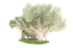 Realistic forest isolated on transparent background. 3d rendering - illustration png