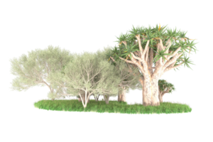 Realistic forest isolated on transparent background. 3d rendering - illustration png