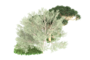 realistico foresta isolato su trasparente sfondo. 3d interpretazione - illustrazione png