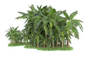 Realistic forest isolated on transparent background. 3d rendering - illustration png