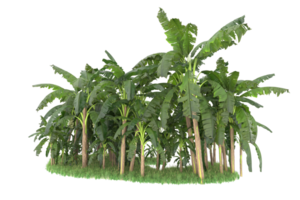 Realistic forest isolated on transparent background. 3d rendering - illustration png