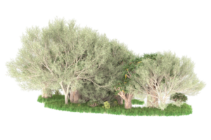 Realistic forest isolated on transparent background. 3d rendering - illustration png