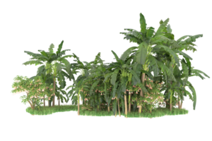 Realistic forest isolated on transparent background. 3d rendering - illustration png