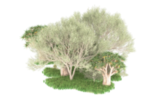 Realistic forest isolated on transparent background. 3d rendering - illustration png