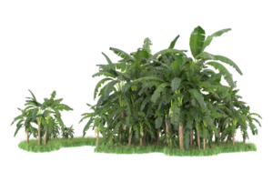 Realistic forest isolated on transparent background. 3d rendering - illustration png