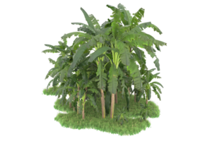 Realistic forest isolated on transparent background. 3d rendering - illustration png