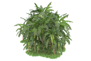Realistic forest isolated on transparent background. 3d rendering - illustration png