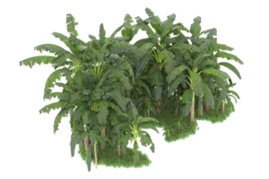Realistic forest isolated on transparent background. 3d rendering - illustration png