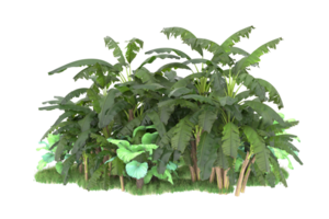 Realistic forest isolated on transparent background. 3d rendering - illustration png