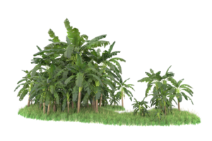 Realistic forest isolated on transparent background. 3d rendering - illustration png