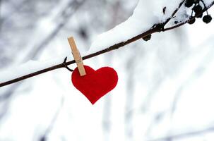 Red heart hanging on snowy branch. The concept of celebrating Valentine's Day. Banner. Close-up. Copy space. Selective focus. photo