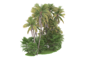 floresta realista isolada em fundo transparente. renderização 3D - ilustração png