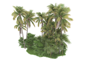 Realistic forest isolated on transparent background. 3d rendering - illustration png
