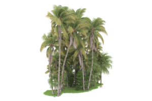 Realistic forest isolated on transparent background. 3d rendering - illustration png