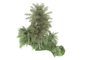 Realistic forest isolated on transparent background. 3d rendering - illustration png