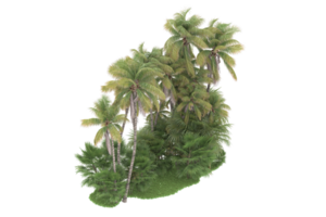 Realistic forest isolated on transparent background. 3d rendering - illustration png