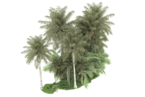 realistico foresta isolato su trasparente sfondo. 3d interpretazione - illustrazione png