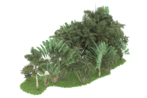 floresta realista isolada em fundo transparente. renderização 3D - ilustração png