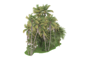 floresta realista isolada em fundo transparente. renderização 3D - ilustração png