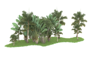 Realistic forest isolated on transparent background. 3d rendering - illustration png