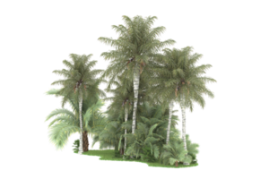 Realistic forest isolated on transparent background. 3d rendering - illustration png