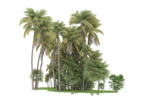 Realistic forest isolated on transparent background. 3d rendering - illustration png