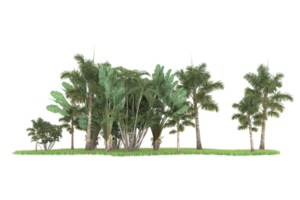 Realistic forest isolated on transparent background. 3d rendering - illustration png