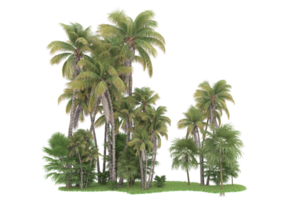 Realistic forest isolated on transparent background. 3d rendering - illustration png