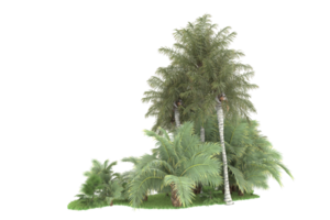 floresta realista isolada em fundo transparente. renderização 3D - ilustração png