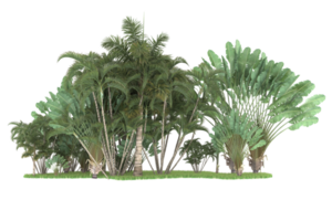 Realistic forest isolated on transparent background. 3d rendering - illustration png