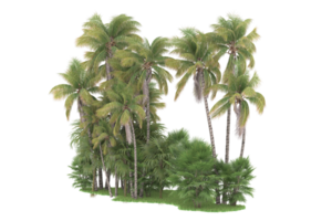 realistico foresta isolato su trasparente sfondo. 3d interpretazione - illustrazione png