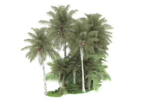 Realistic forest isolated on transparent background. 3d rendering - illustration png