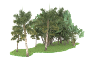 Realistic forest isolated on transparent background. 3d rendering - illustration png