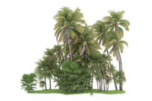 forêt réaliste isolée sur fond transparent. rendu 3d - illustration png