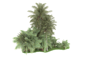 Realistic forest isolated on transparent background. 3d rendering - illustration png