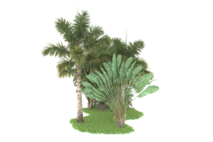 Realistic forest isolated on transparent background. 3d rendering - illustration png