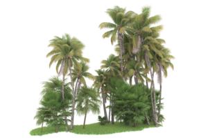 Realistic forest isolated on transparent background. 3d rendering - illustration png