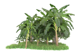 Realistic forest isolated on transparent background. 3d rendering - illustration png