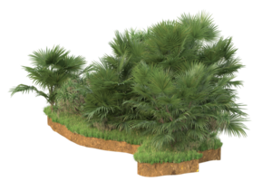 Realistic forest isolated on transparent background. 3d rendering - illustration png