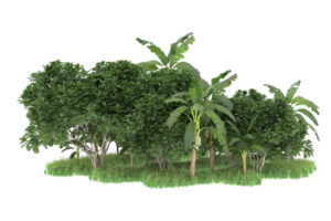 Realistic forest isolated on transparent background. 3d rendering - illustration png